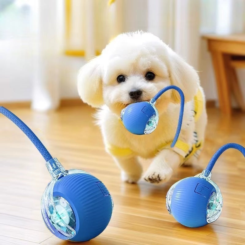 Stainless Steel Dog Water Bowl